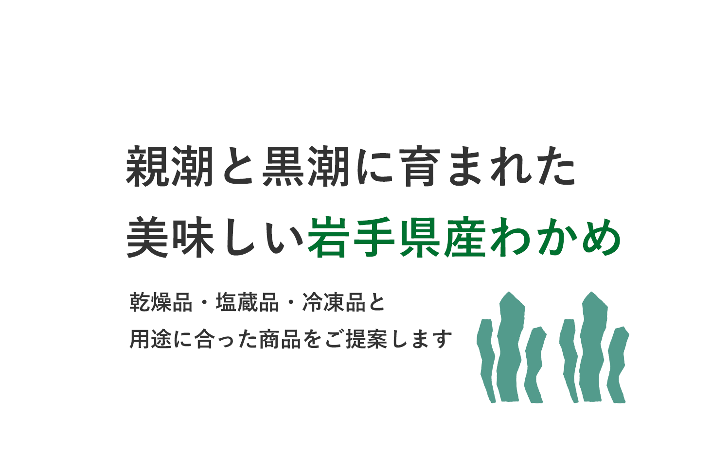 親潮と黒潮に育まれた美味しい岩手県産わかめ乾燥品・塩蔵品・冷凍品と用途に合った商品をご提案します