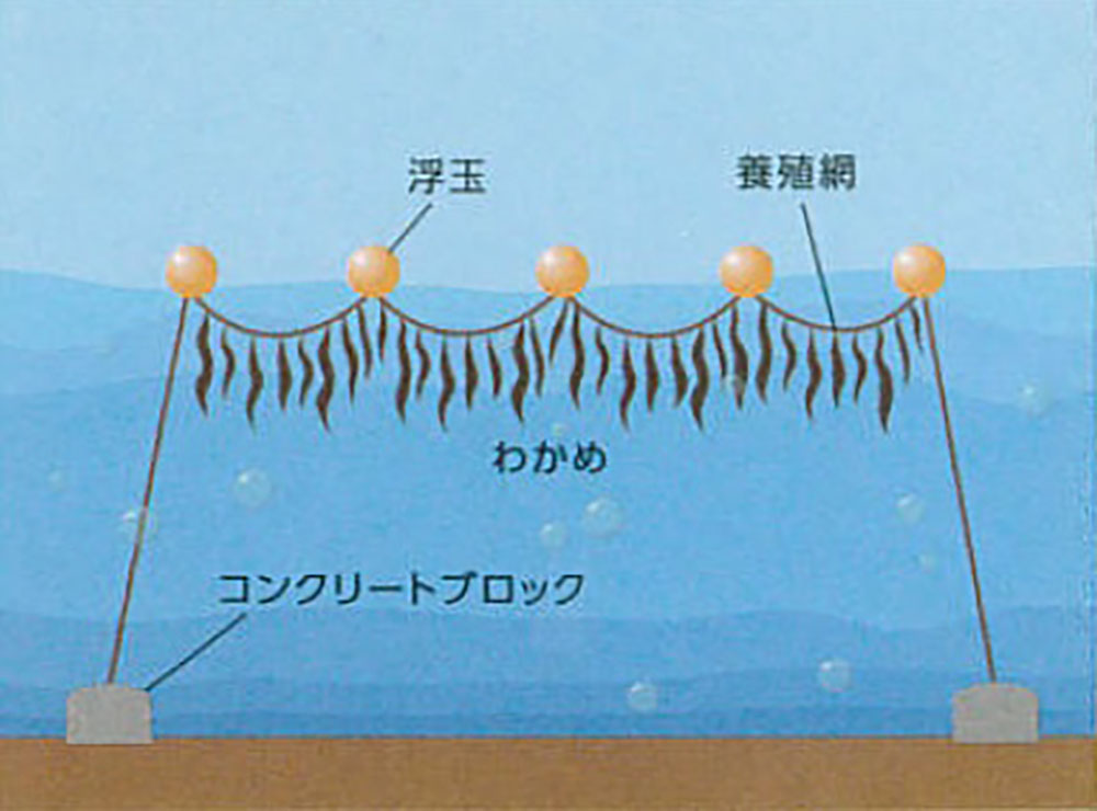 刈り取りその2