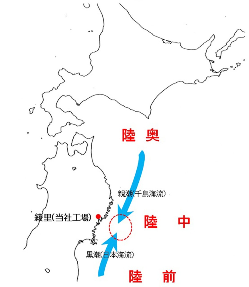 わかめの生産量 有限会社コタニ グラフで分かりやすくご説明