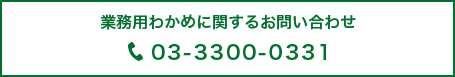 tel:03-3300-0331